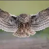 Travis Tanner - @travis.tanner3 - TikTok