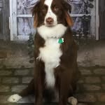 Janet Tanner Tuttle - @janettuttle17 - Instagram