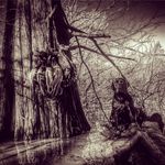 Tanner Wakefield - @twake123 - Instagram