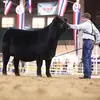 Tanner Walden - @tannerwalden43 - TikTok