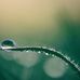 Weldon Tanner - Facebook