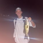 Tanner Wells - @tanner.03 - Instagram