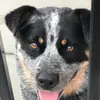 Tanner Werth - @tanner_werth - TikTok