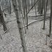 Tanner Wirth - Facebook