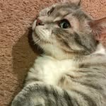 Tanner Westfall - @tan2_westfal - Instagram