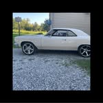 Tanner Whitlow - @tannerwhitlow - Instagram