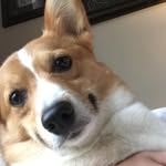Tanner Whitman - @twhitman_14 - Instagram