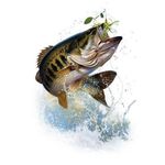 Tanner Wiggins - @tj_fishing15 - Instagram