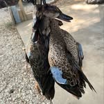 Tanner Wiley - @ybtan30 - Instagram