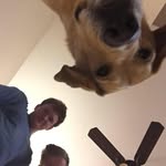 Tanner Wilkinson - @wilkinson_tanner - Instagram