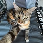ťåňñęř ŵįņġ - @razor_pad - Instagram
