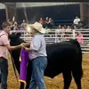 Tanner Wingert - @tannerwingert - TikTok