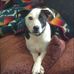 Tanya Benoit - Facebook