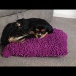 Tanya Bright - @bright3176 - Instagram