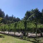 tanya_bright - @tanya_bright.sonoma - Instagram