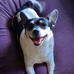 Tanya Carson - @tcinkc - Instagram