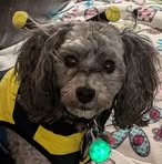 Tanya Cool-Scott - Facebook