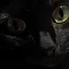 Татьяна - @tanyacool6 - TikTok