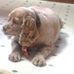 Tanya Durst - Facebook