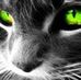 Tanya Durkin - Facebook