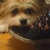Tanya Ernst - Facebook