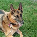 Tanya Jensen Ernst - @ernst5083 - Instagram