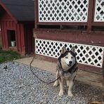 Tanya Harmon - Facebook