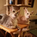 Tanya Parker Harmon - @tanya_harmon - Instagram