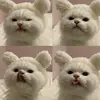 Tanya.Harmon - @tanyaharmonubnvprdx - TikTok