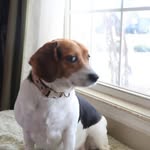 Tanya Hearn-Jacobs - @happybubbles5150 - Instagram