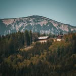 Tanya Heller - @tanya9398996 - Instagram