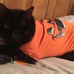 Tanya Ann Holmberg - @oceanswmr8 - Instagram