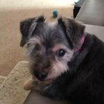 Tanya Jansen - @tarnjansen_blue_willow_beauty - Instagram