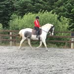 💙Tanya Kent🐴 - @tanya.dressage - Instagram