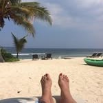 Tanya Kent - @tanyakent9139 - Instagram