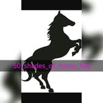 🇮🇪Tanya Kent🇮🇪 - @50_shades_of_horse_hay - Instagram