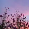 Tanya Key - @tanya_key - TikTok