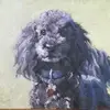 tanyadammannknott - @tanyadammannknott - TikTok