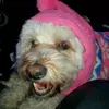 Tanya Mack - @tanya.mack06 - TikTok