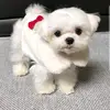 user4232902707282 - @tanya_mack - TikTok