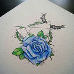 Tanya_Maier∆ - @tanya.maier24 - Instagram