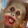 tanyamarks - @whyhellothere447 - TikTok
