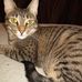 Tanya McClain - Facebook