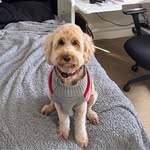 Tanya Nicholson - @tanyanicholson - Instagram