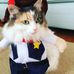 Tanya Nicholson - Facebook