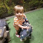 Tanya Parrish - @lizardparrish - Instagram