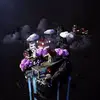 Tanya Post - @tanyapost7 - TikTok