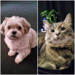 Tanya Read - @juddtanya - Instagram