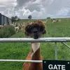 Tanya Read - @tanya.read2 - TikTok