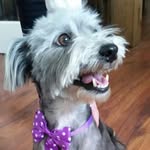 Tanya Sharp - @mummatan15 - Instagram